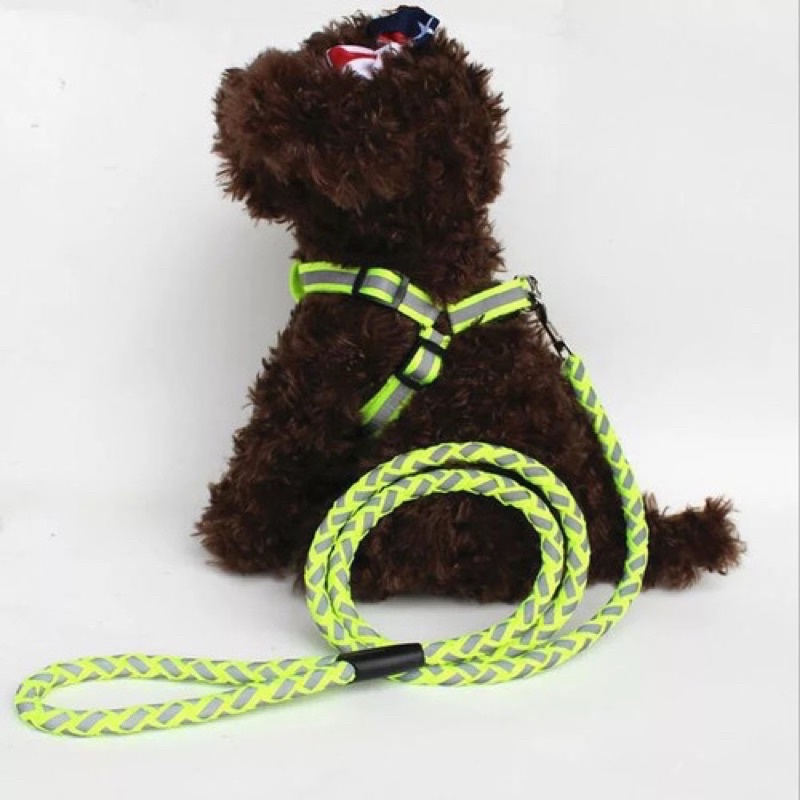 Dây dẫn Yếm cho Thú cưng