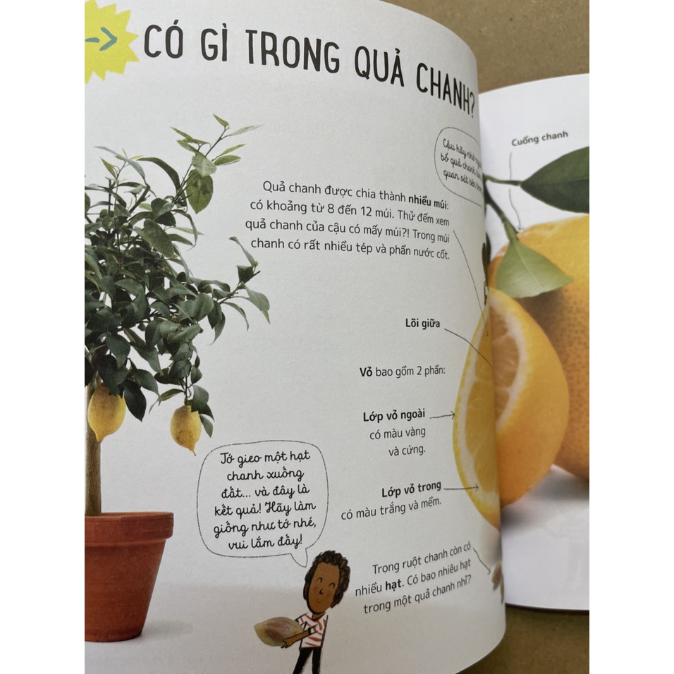 Sách - Khoa Học Trong ... - 10 Thí Nghiệm Dễ Làm Và Gây Sửng Sốt - Trọn bô 6 cuốn
