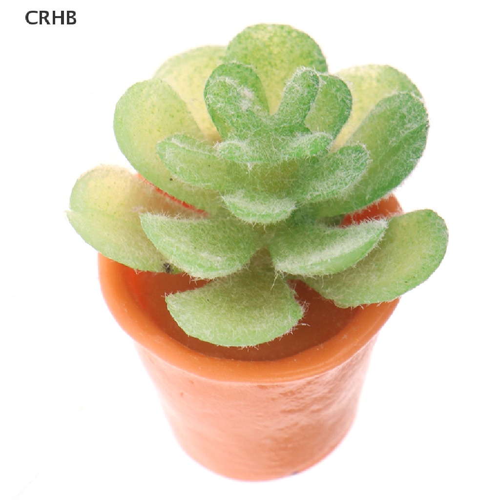 Bộ 5 Chậu Cây Trang Trí Nhà Búp Bê Tỉ Lệ 1: 12 Mới