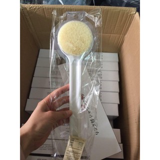 Cọ lưng Muji thần thánh