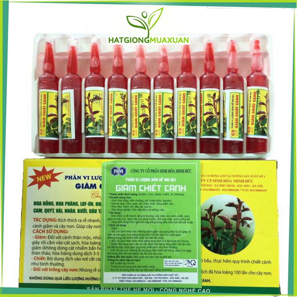 [SIEURE] Vỉ 10 ống kích thích ra rễ chuyên dùng cho giâm, chiết cành MĐ 901 hàng đẹp, phân phối chuyên nghiệp.