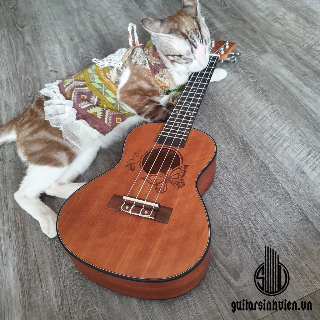 Đàn ukulele gỗ size concert (size 23) - tặng phụ kiện và 3 miếng stiker, bảo hành 1 năm - Nhiều mẫu dễ lựa chọn