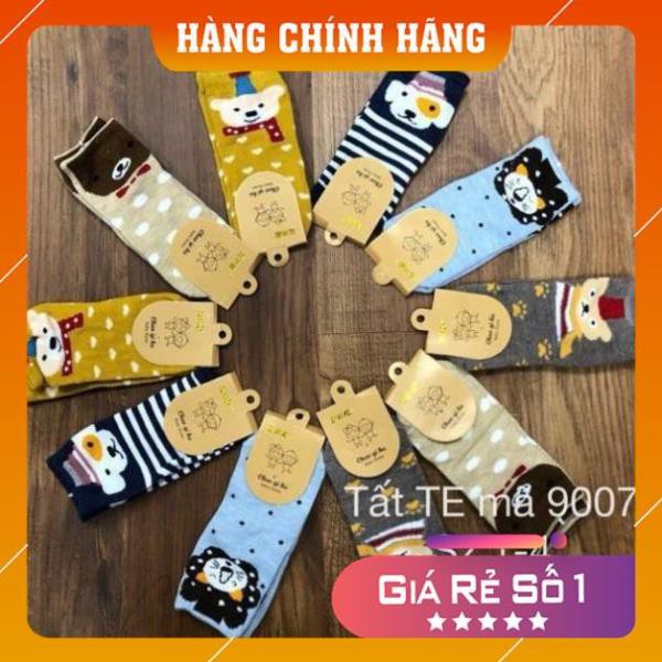 Set 10 đôi tất cổ cao hình con vật đáng yêu có size cho bé 1-13 tuổi mã 9007 - Video+ảnh thật