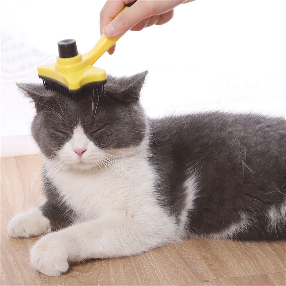 Lược Chải Lông Mát Xa Cho Thú Cưng Nhiều Màu Sắc