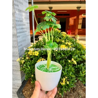 Cỏ 4 Lá May Mắn Giả