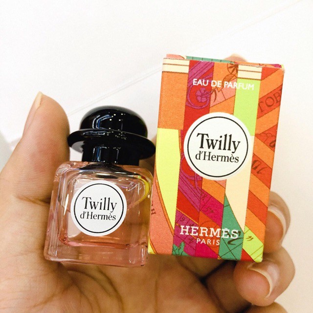 mini twilly hermes