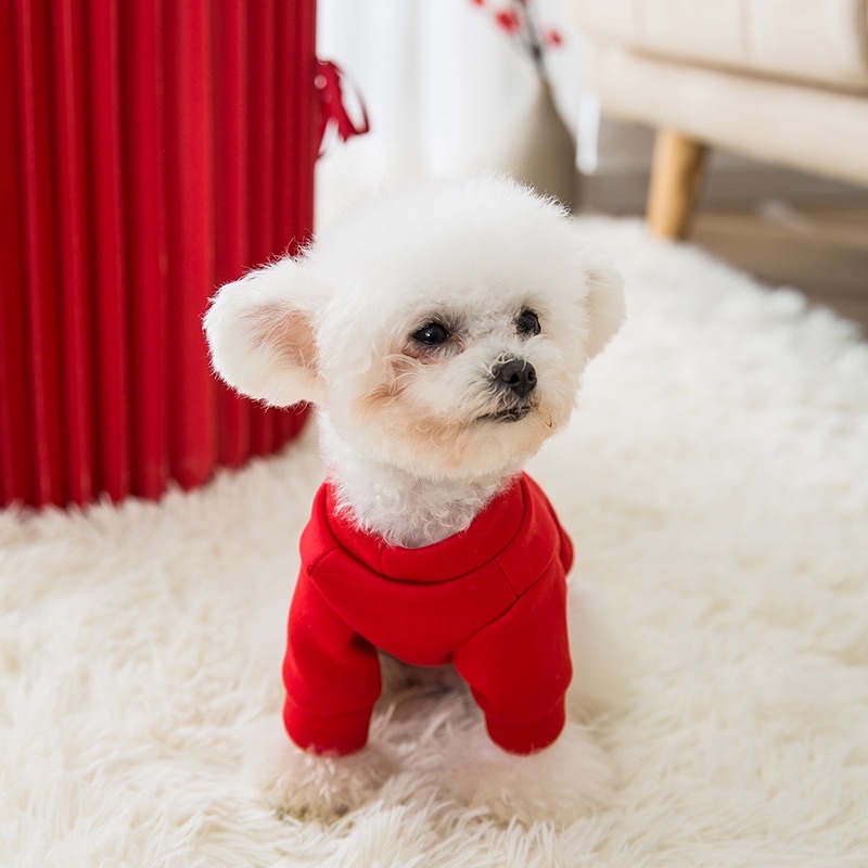 Áo Tết nhiều hình xinh cho chó mèo