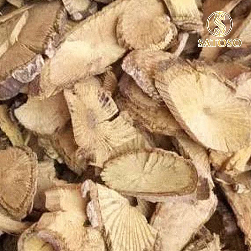 Hoàng đằng khô thượng hạng giúp thanh nhiệt SATOSO 1kg SA61