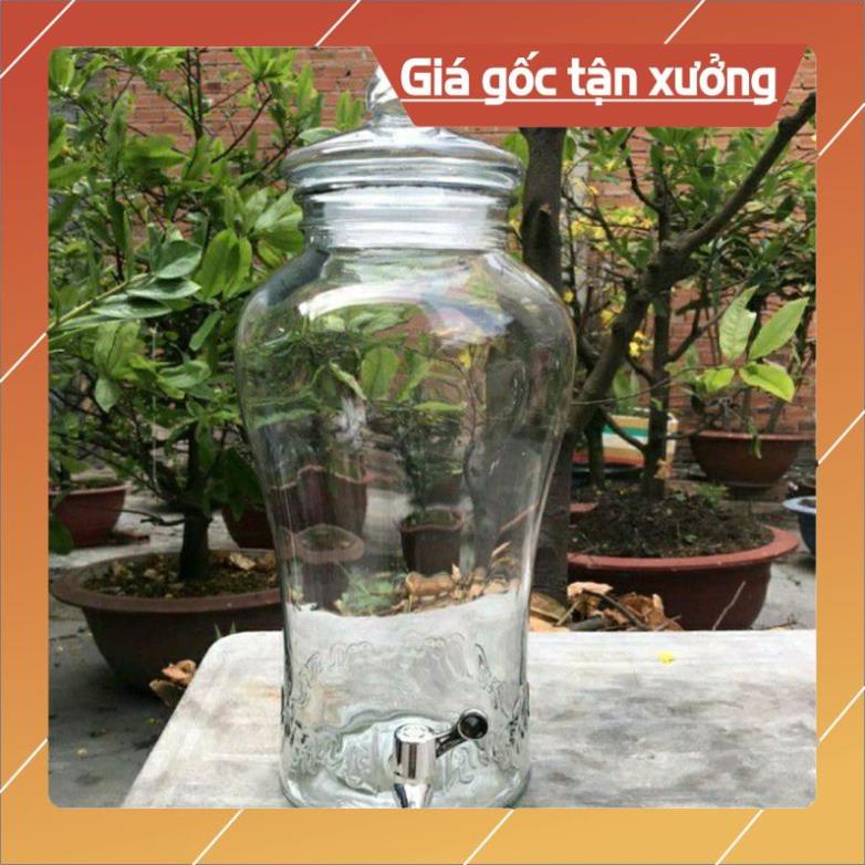 Bình Ngâm Rượu Sâm Thủy Tinh loại 6 lít, 10 lít và 15 lít Có Vòi và Không Vòi