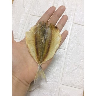 Cá chỉ vàng to dày mình - 1 con