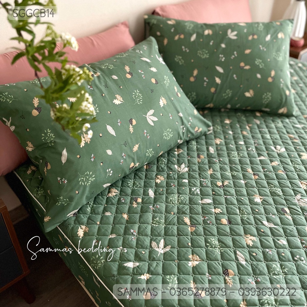 Set Ga Gối Cotton Chần Bông 3 Món, Ga Trải Giường Kèm Vỏ Gối Thấm Hút Mồ Hôi