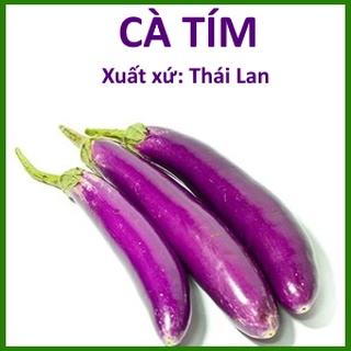 Hạt giống cà tím f1 thái lan - cà tím cơm xanh
