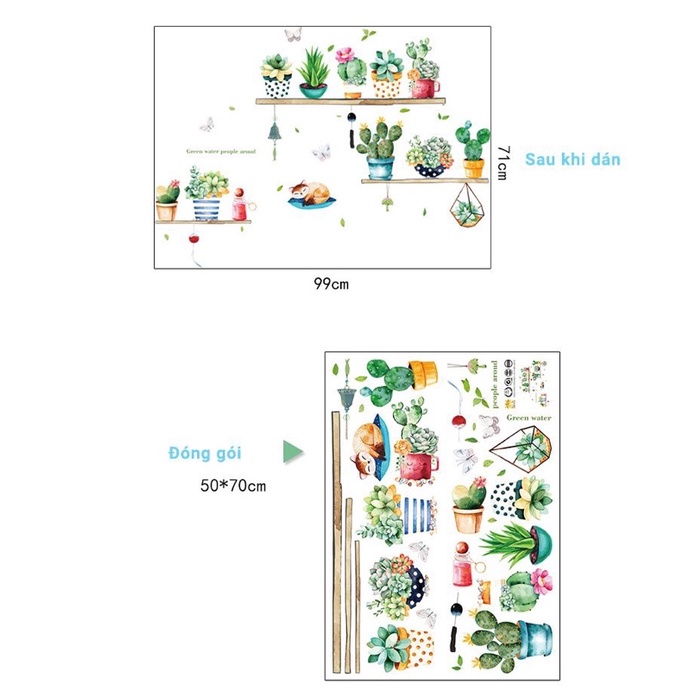 Decal dán tường mẫu chậu cây xương rồng xinh xắn kèm kích thước