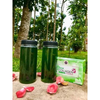 DIỆP LỤC COLLAGEN POWDER