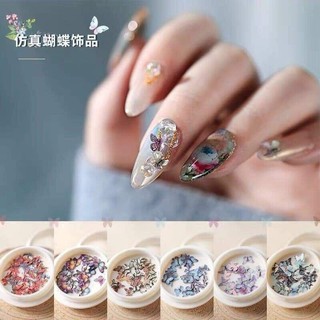 Sét bướm ẩn 3d trang trí móng