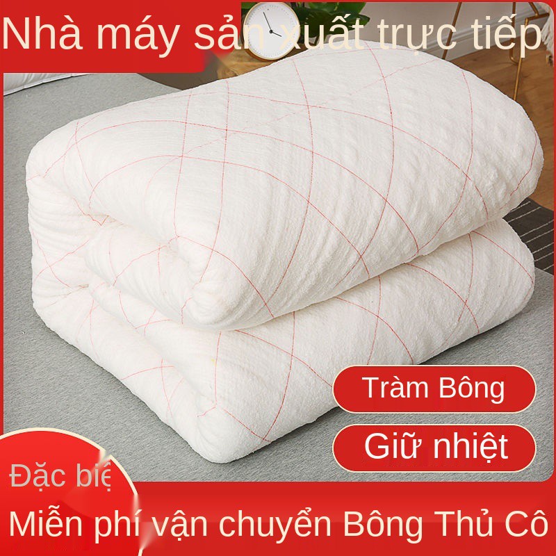 cotton quilt nệm ký túc xá sinh viên chăn đơn bông lõi lò xo, mùa hè, thu và đông dày