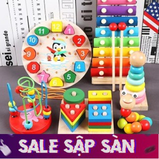 Combo đồ chơi gỗ phát triển trí tuệ 6 món,Đồ chơi gỗ thông minh cho bé Hanana