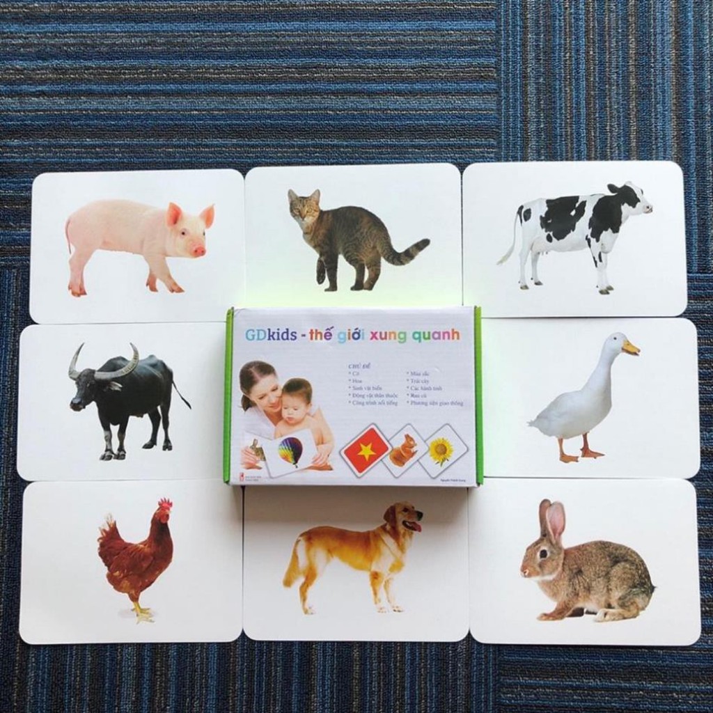 Bộ thẻ học thông minh cho bé flashcard Glenn Doman loại to chuẩn GDKids cho bé từ 0-6 tuổi Shop Bố Su