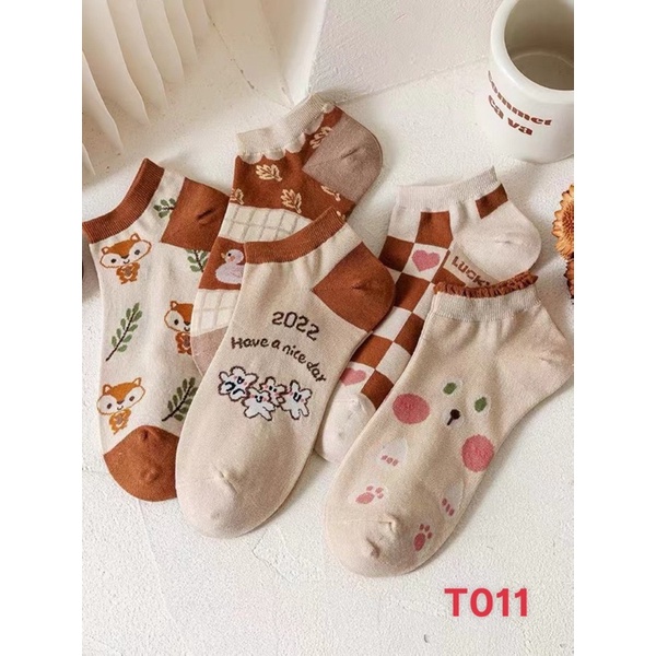 (Sét 5 đôi) Tất/vớ nữ ngắn cổ hình siêu xinh phong cách vintage, chất cotton mềm mịn.