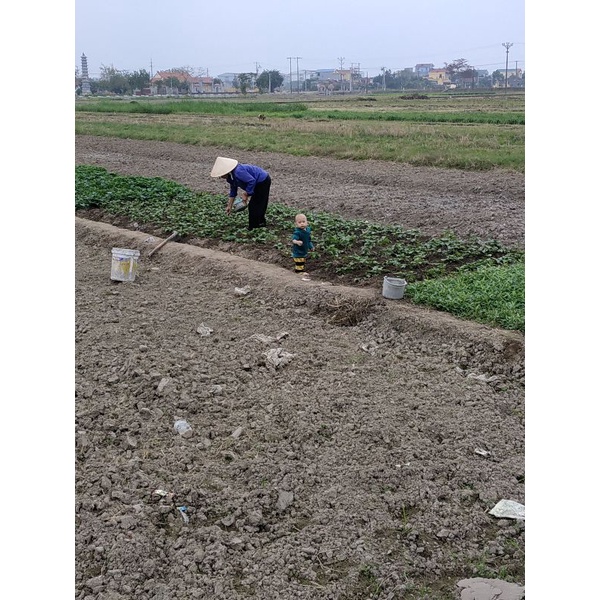 quà tri ân(giao ngẫu nhiên)