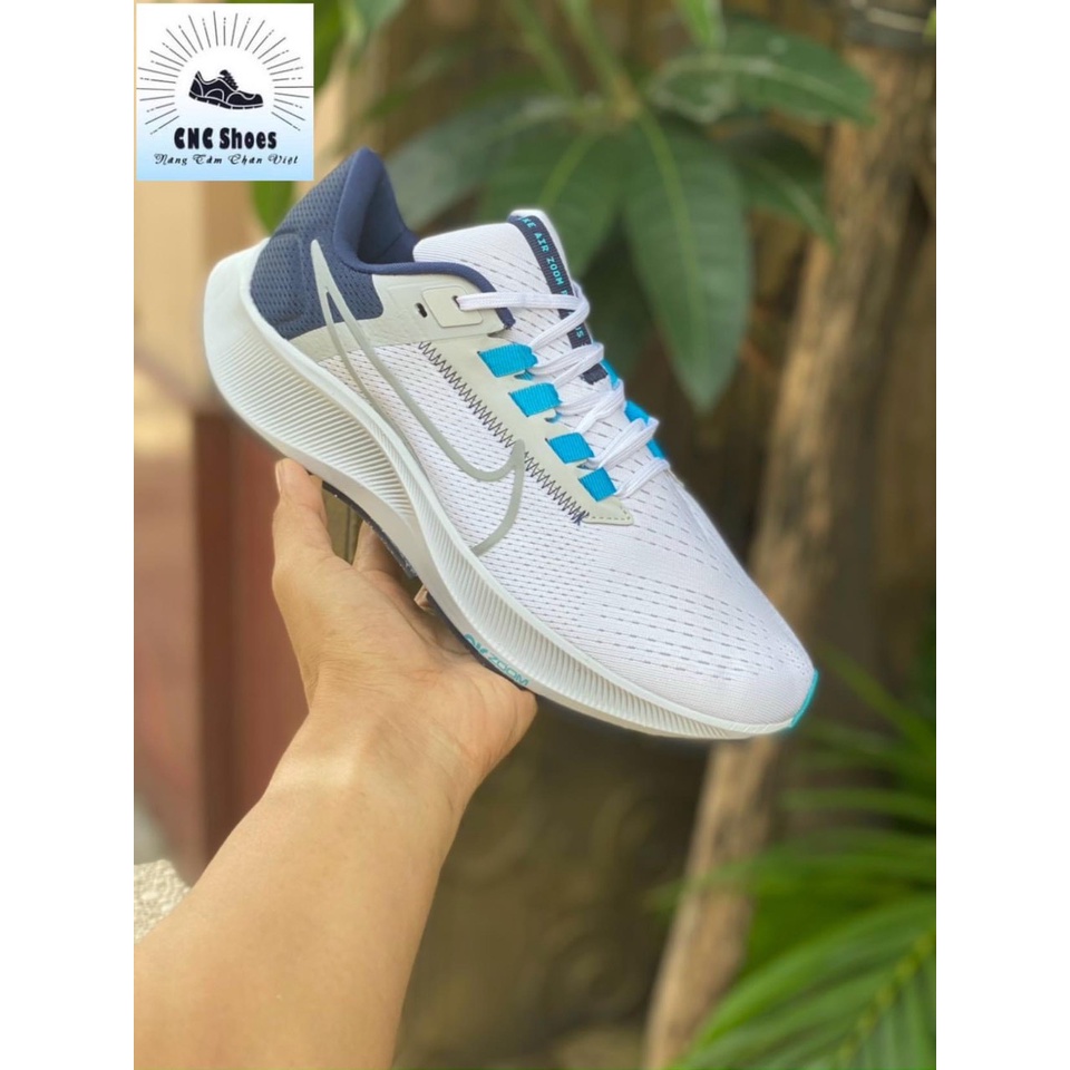 Giày Nike Pegasus 38 Authentic Nam CW7356-101
