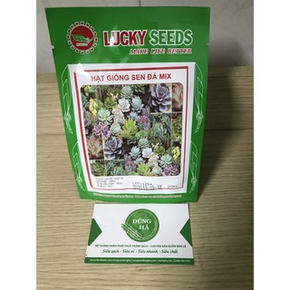 Hạt giống hoa sen đá MIX gói 20 hạt