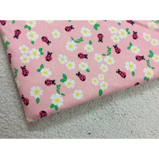 Set vải 180k