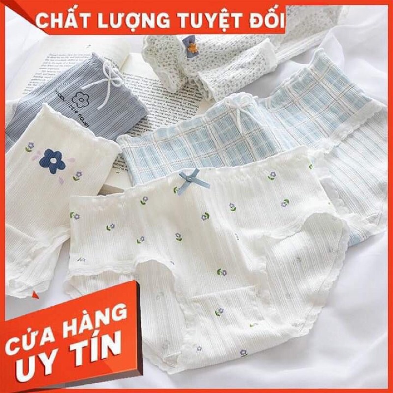Quần Chip Cotton Thun - Freesize Co Dãn Thoải Mái - Quần Cute Xinh Xắn Có Thể Làm Quà Tặng - Màu Xinh !