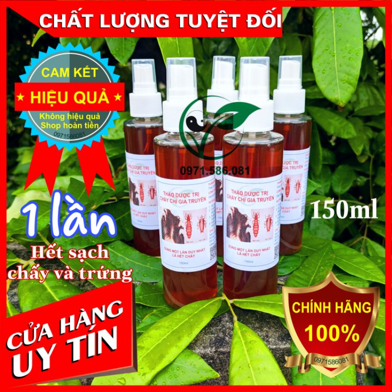 Ủ Chấy. Dầu Gội Diệt Chấy. Dầu Gội Chí. [Chính Hãng]. Số lượng 1 chai 150ml.