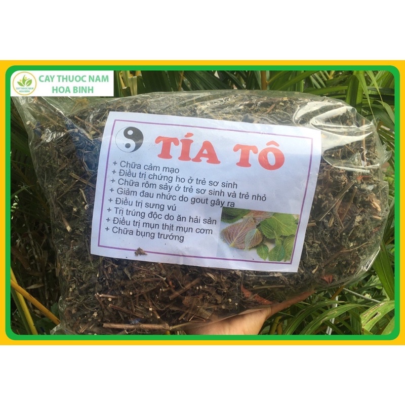 Lá tía tô khô 1 kg sạch an toàn nhà trồng được