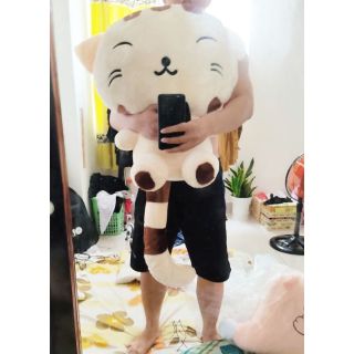 [MUA 2 TẶNG 1] [ẢNH THẬT] MÈO ĐUÔI DÀI