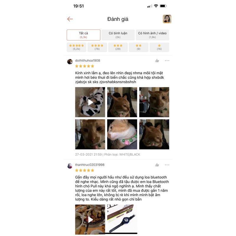 Kính mèo tam giác sang chảnh KM01 | BigBuy360 - bigbuy360.vn