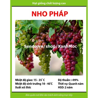 Hạt giống Nho Pháp