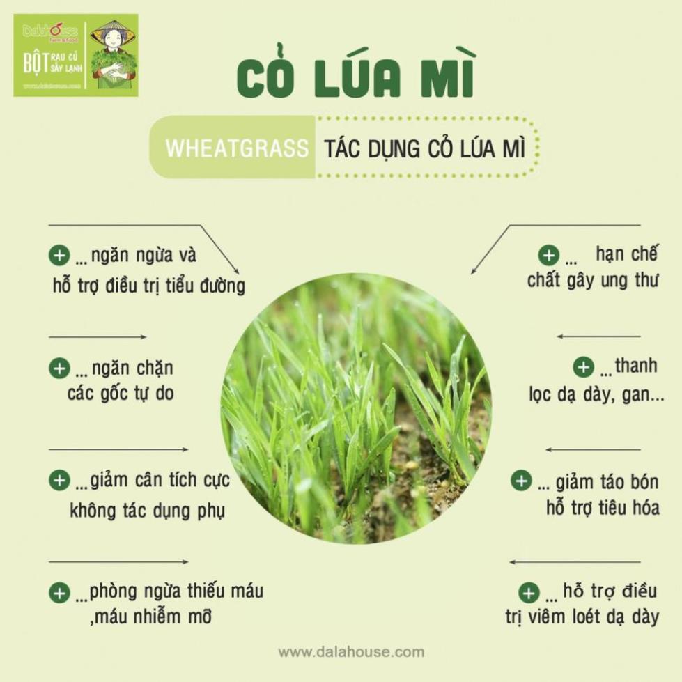 [SẢN PHẨM XANH] Bột Cỏ Lúa Mì Nguyên Chất Sấy Lạnh Dalahouse Giúp Thải Độc Gan - Hỗ Trợ Tiêu Hóa, Tiểu Đường.