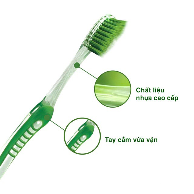 Bàn chải Oral-B tinh chất Trà Xanh/ Trà Đen vỉ 3 cây (Mua 2 tặng 1)