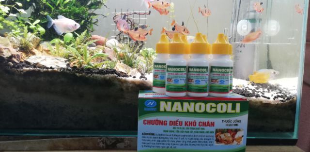 Ecoli Dành Cho Thỏ