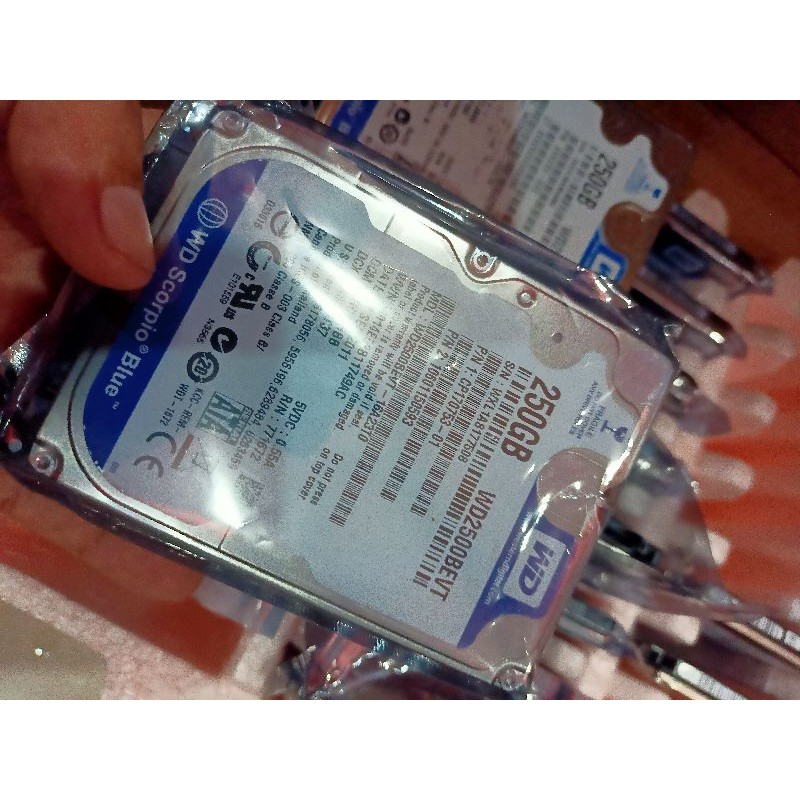 Ổ Cứng Laptop Hdd 250gb | BigBuy360 - bigbuy360.vn