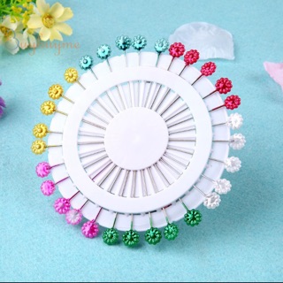 vĩ kim cúc định vị may vá ( 30 cây)