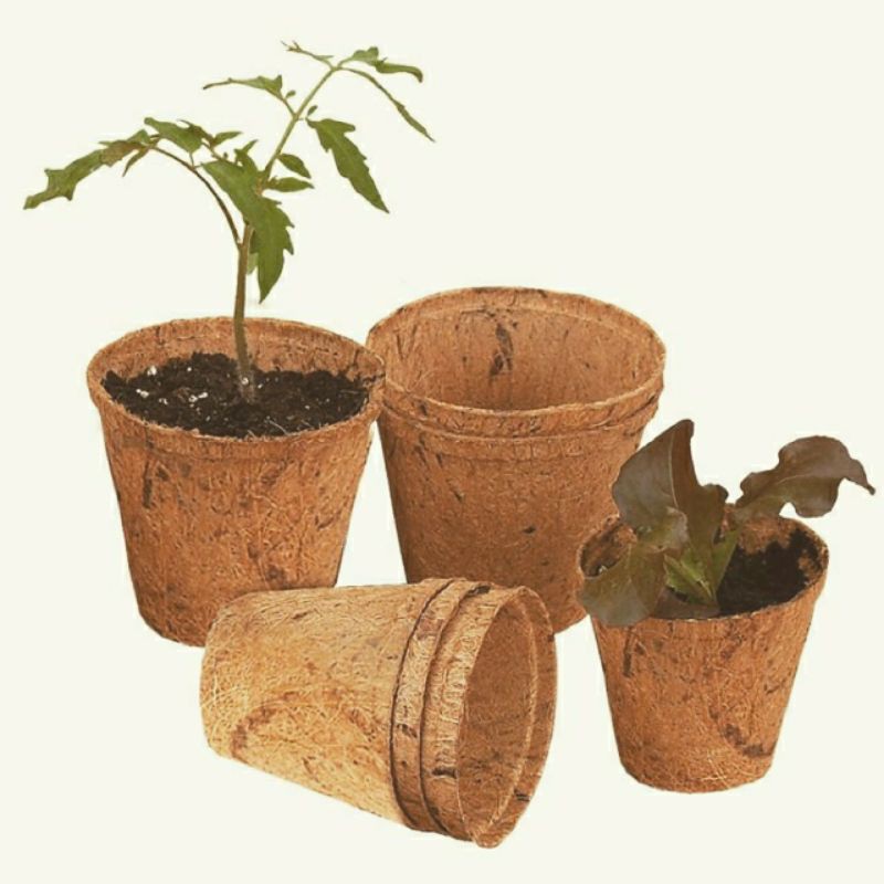 Combo 10 chậu xơ dừa ép nhiệt coir pot kt 10x10cm