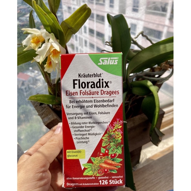 bổ sung sắt dạng viên(126v)- Floradix Salus