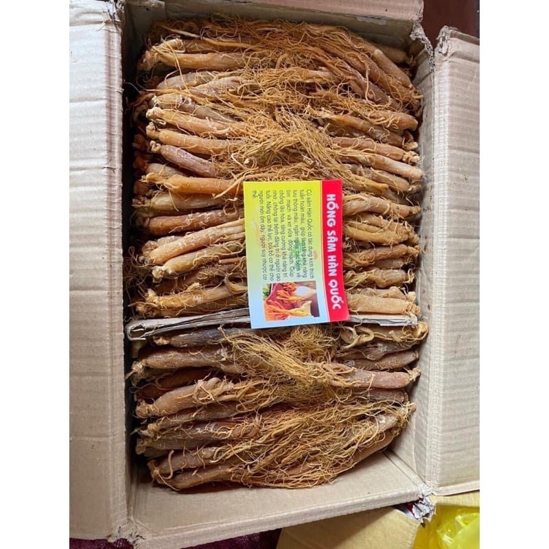 nhân sâm hồng sâm Hàn Quốc
