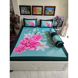 Bộ drap thun Ý 5D 1m6*2m, nhiều màu
