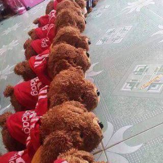 Chó Con Biết Hát