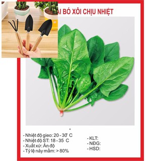 Hạt giống Cải Bó Xôi 15gr ~2500 hạt TẶNG BỘ LÀM VƯƠN MINI