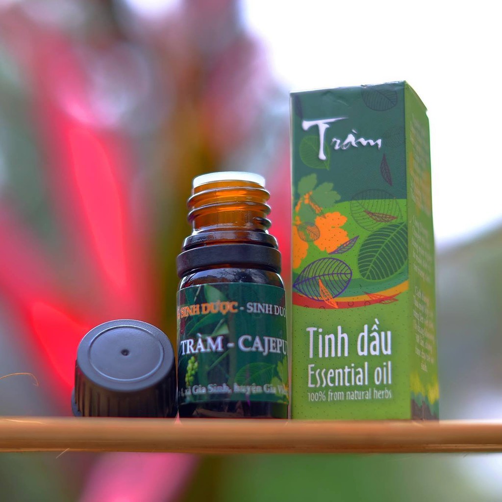 Tinh dầu tràm gió Sinh Dược 5ml