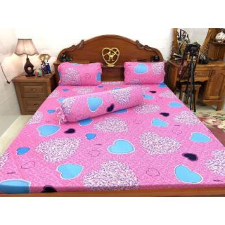 Combo 6 Ga chống thấm cotton Su Su