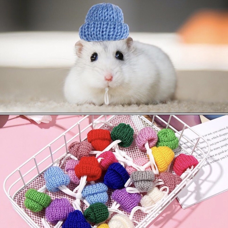 Nón Len Giữ Ấm cho Hamster | Thú Nhỏ