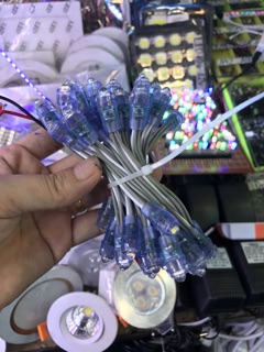 Led đúc F5 điện 12v