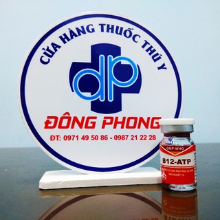 Tăng thể lực B12 - ATP