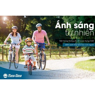 Đèn bàn LED SUNLIKE Rạng Đông RL 38